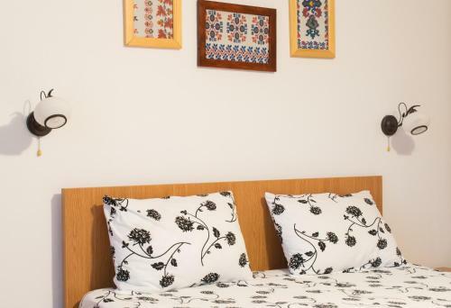Hostal Pensiunea Colt De Munte