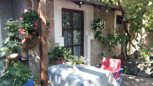 Arlekin Apartman