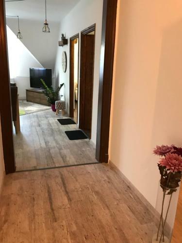 Hostal Babylon Pizz�ria Vend�gh�z