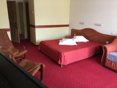 Hostal Pension Vanatorul
