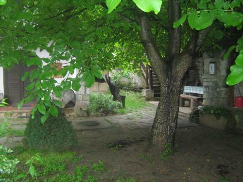 Hostal Myrtus Pince �s Vend�gh�z