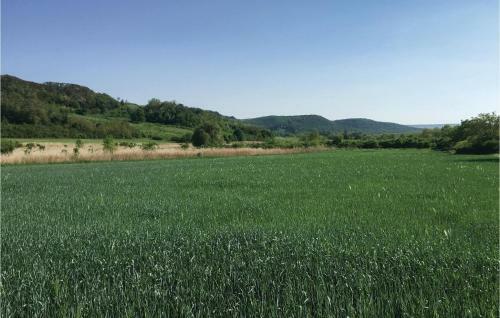 Three-bedroom Holiday Home In Szolad