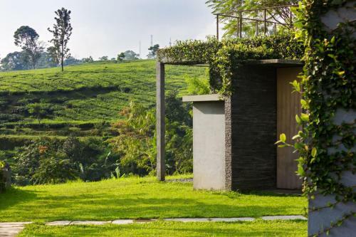 Hotel Tea Garden Resort
