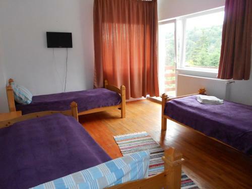 Motel Cabana Filip