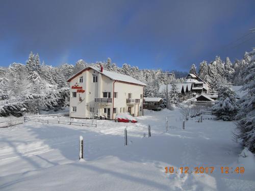 Motel Cabana Filip