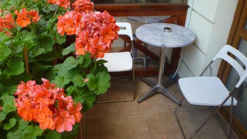 Hostal Sas Szallo