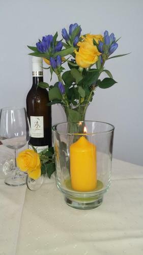 Hostal Appartement-pension Weinschreiber