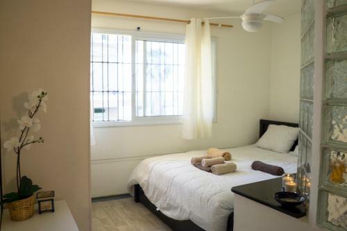 Amazing Apartment Near The Beach