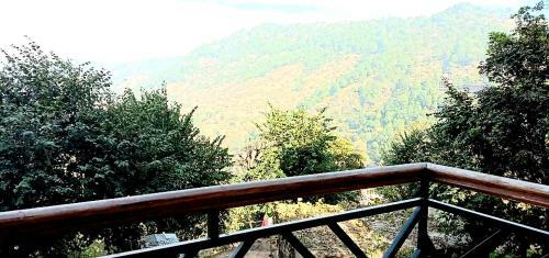 Bed & Breakfast Wildleaf Kasauli -valley Homz