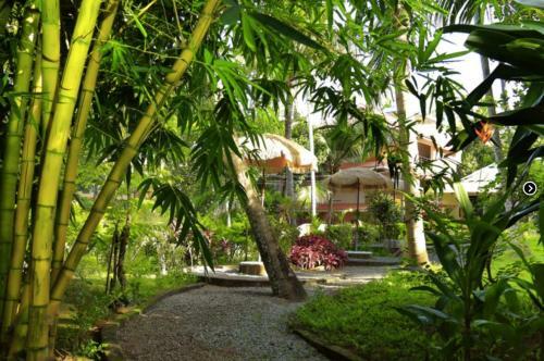 Hotel Laksmi House Ayurveda & Spa