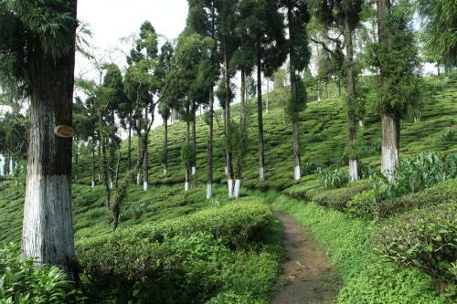 Hotel Sourenee Tea Estate