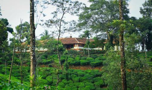 Hotel Tea Tours Ripon Heritage Bungalow