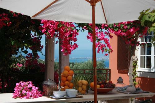 Agroturismo Quinta Do Tagus Village
