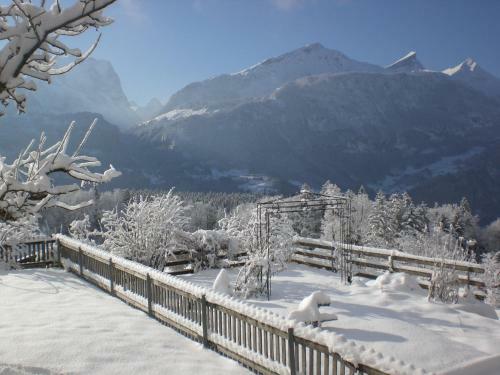 Bed & Breakfast Pension Staldacher
