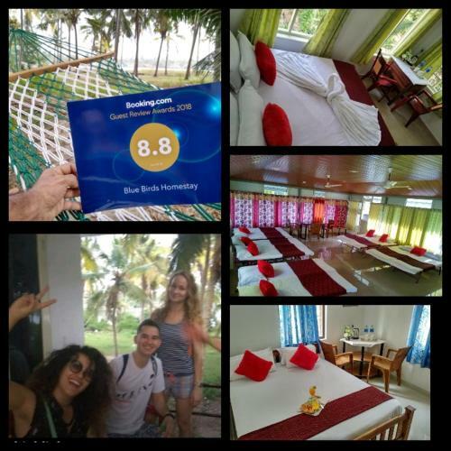 Blue Birds Homestay