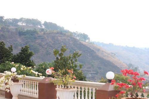Hotel Mount View Executive