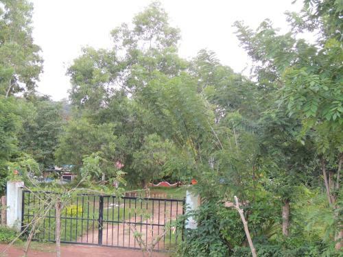 Dandeli - Jungle Nest