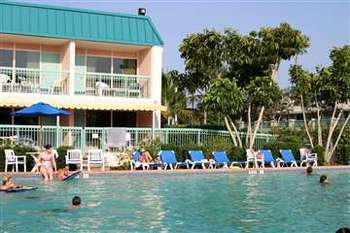 Hotel International Palms Resort And Conference Center