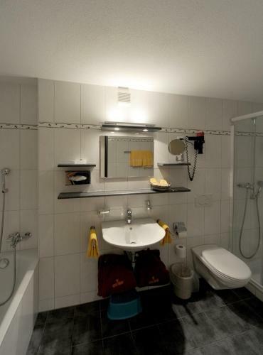 Hotel Krone Lenk