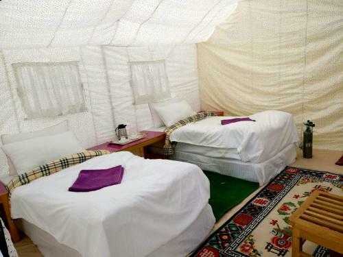 Tih The Regal Camp Pangong