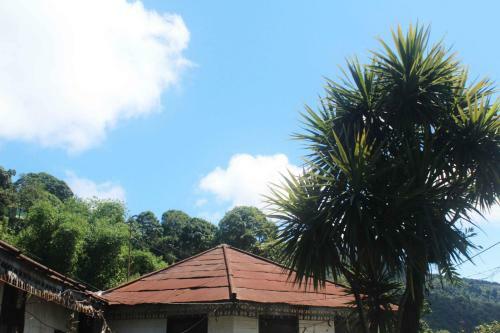 Solacetone Homestay