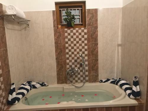 Hotel Wayanad Hilltop Holiday Home