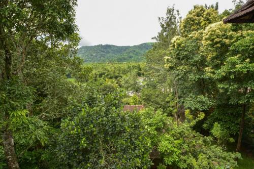 Agroturismo Hotel Treetop