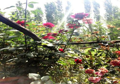 Hostal Tih A O Guest House & Home Stay