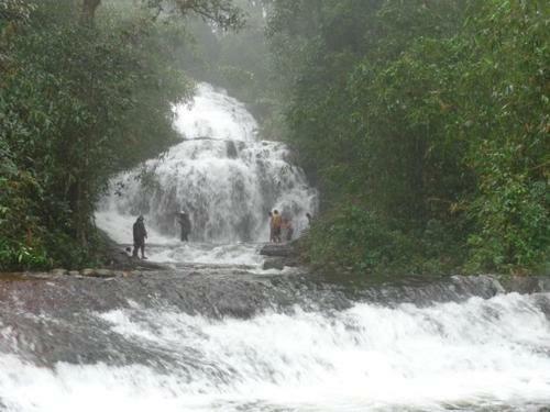 Hotel Cassells Jungle Resorts