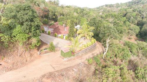 Hotel Cassells Jungle Resorts