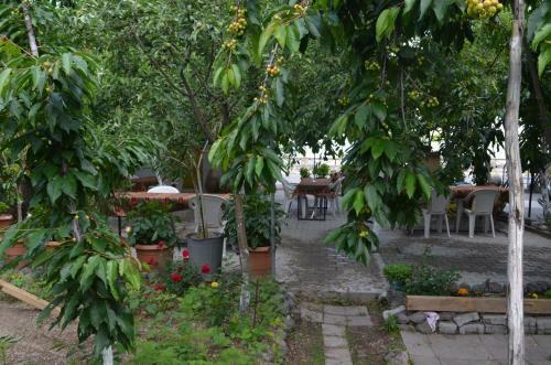 Hostal Erciyes Pension