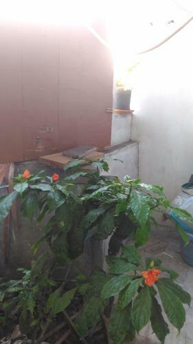 Apartamento Prakrutika