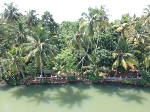 Greenchromide Homestays