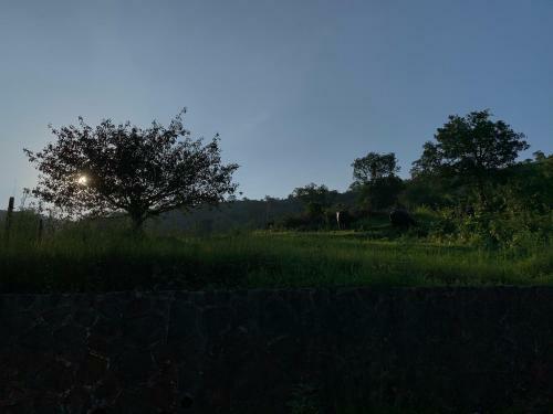 Mountain View 4bhk Villa In Mulshi