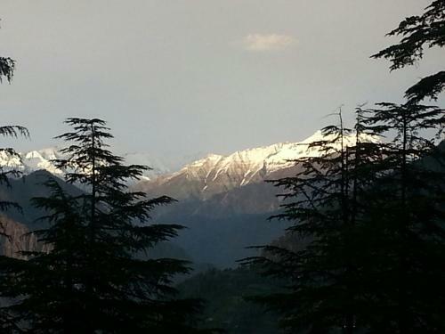 Ishan Log Huts Bahu