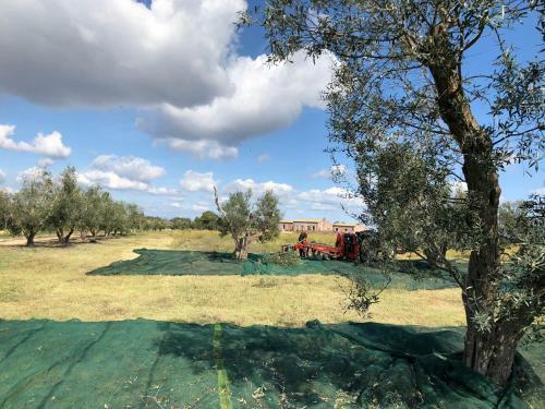 Agroturismo Resort Fonte Vulci