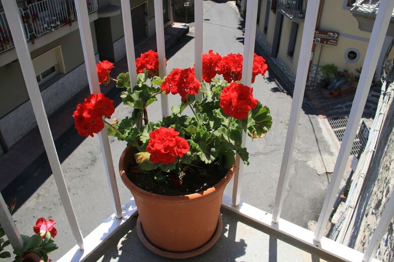 Bed & Breakfast Due Sicilie Maison De Charme