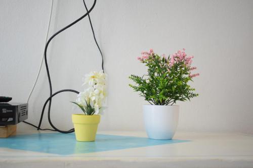 Apartamento Welc-om Nino's