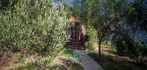 Lodge Kabak Avalon Bungalows