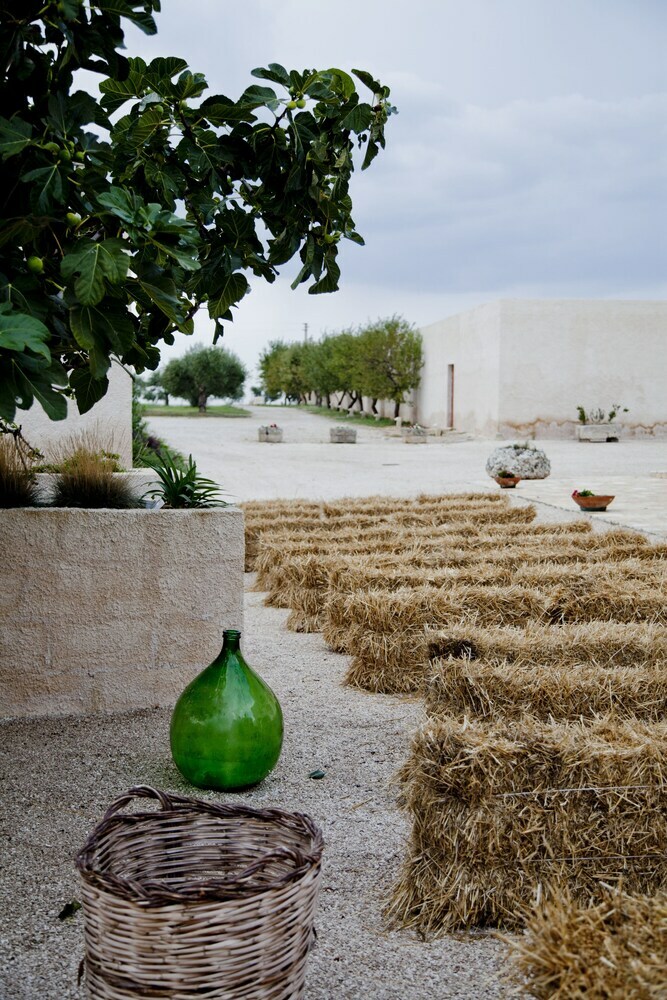 Hotel Masseria Fontana Di Vite