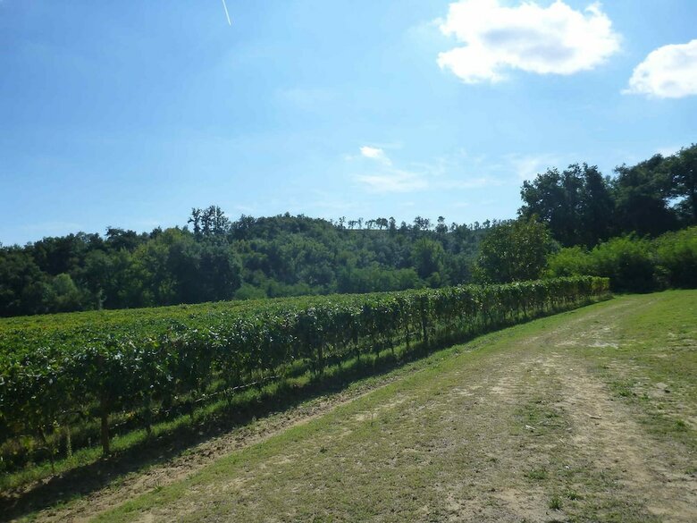Agroturismo Il Molinaccio Di Montepulciano