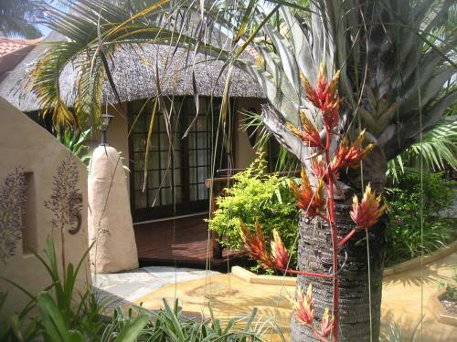 Bed & Breakfast Afrikhaya Guest House