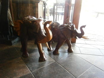 Lodge Afrique