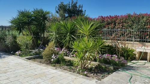 Incantevole Villetta Con Giardino