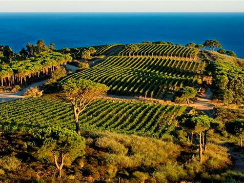 Locazione Turistica Ginepro