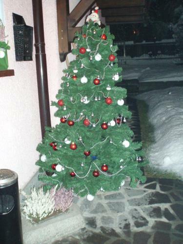 Hostal Casa Salvaterra Affittacamere