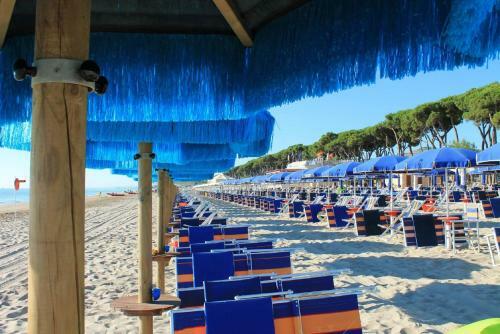 Apartamento Orchidea 2 Pineto Vacanza