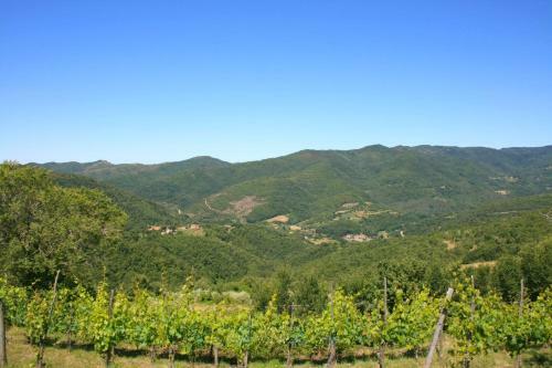 Piegaio Basso Villa Sleeps 16 Pool Wifi
