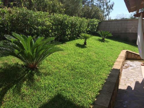 Apartamento Sa' Perda Manna