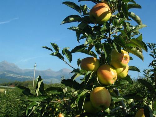 Agroturismo H�uslerhof